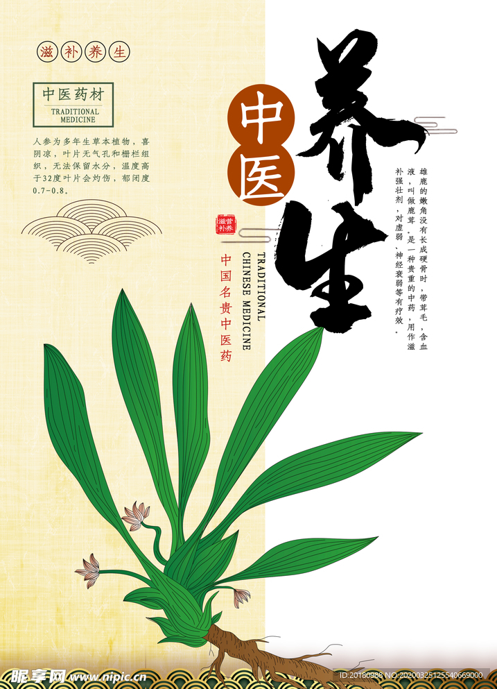 中医养生