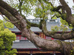 岳王庙