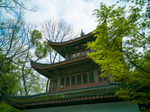 虎跑