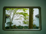窗户里的风景