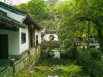 虎跑