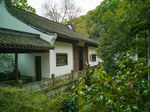 虎跑