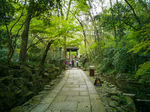 虎跑