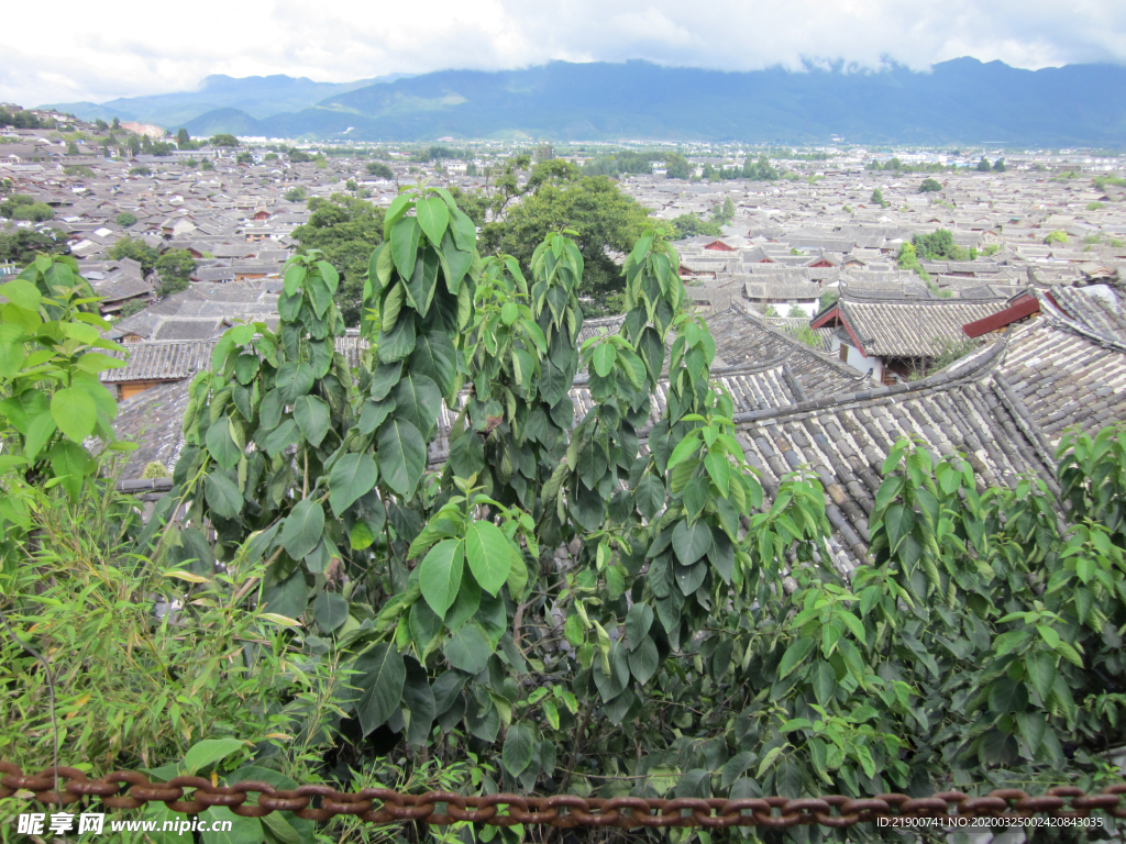 丽江古城远景