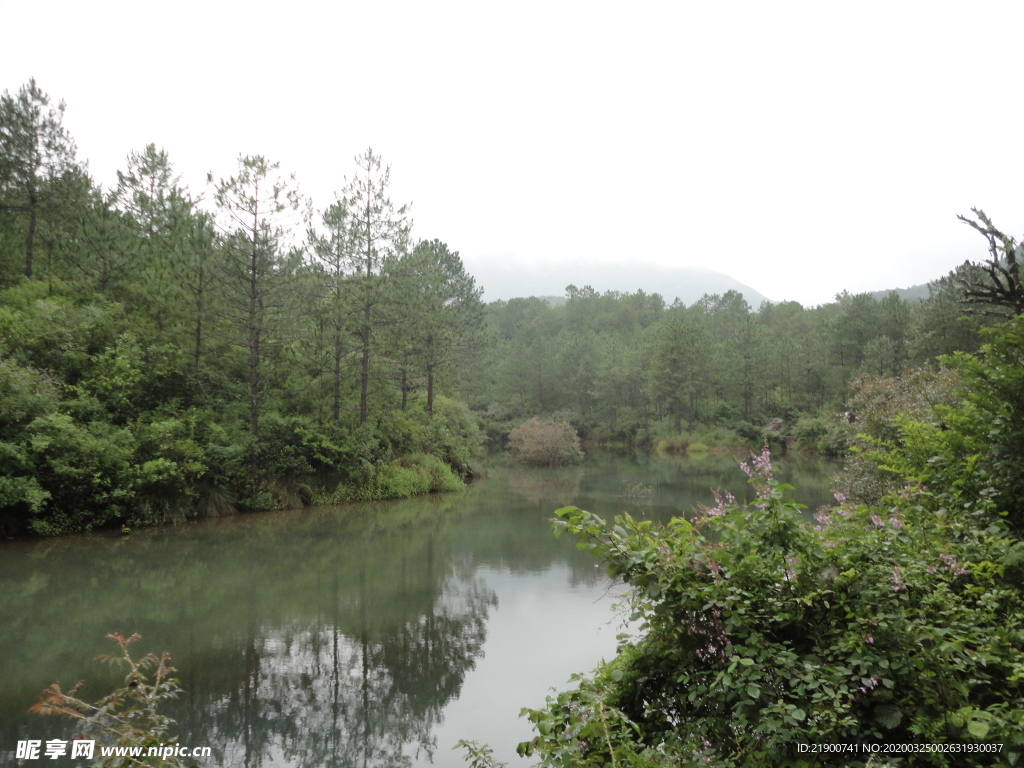 丽江茶马古道随景