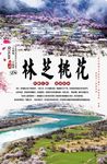 林芝桃花节海报
