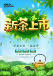 新茶上市