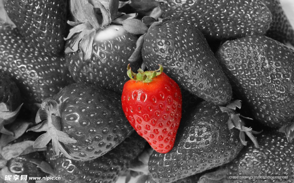 草莓蓝莓水果图片