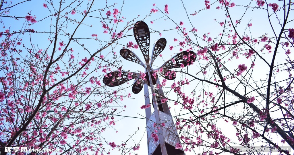 樱花桃花花艺图片