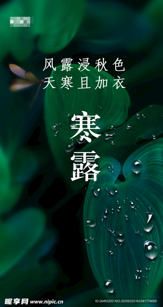 24节气寒露节气图