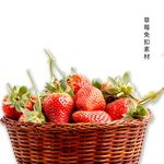 草莓免扣素材