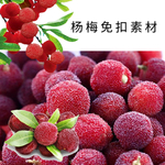 杨梅素材