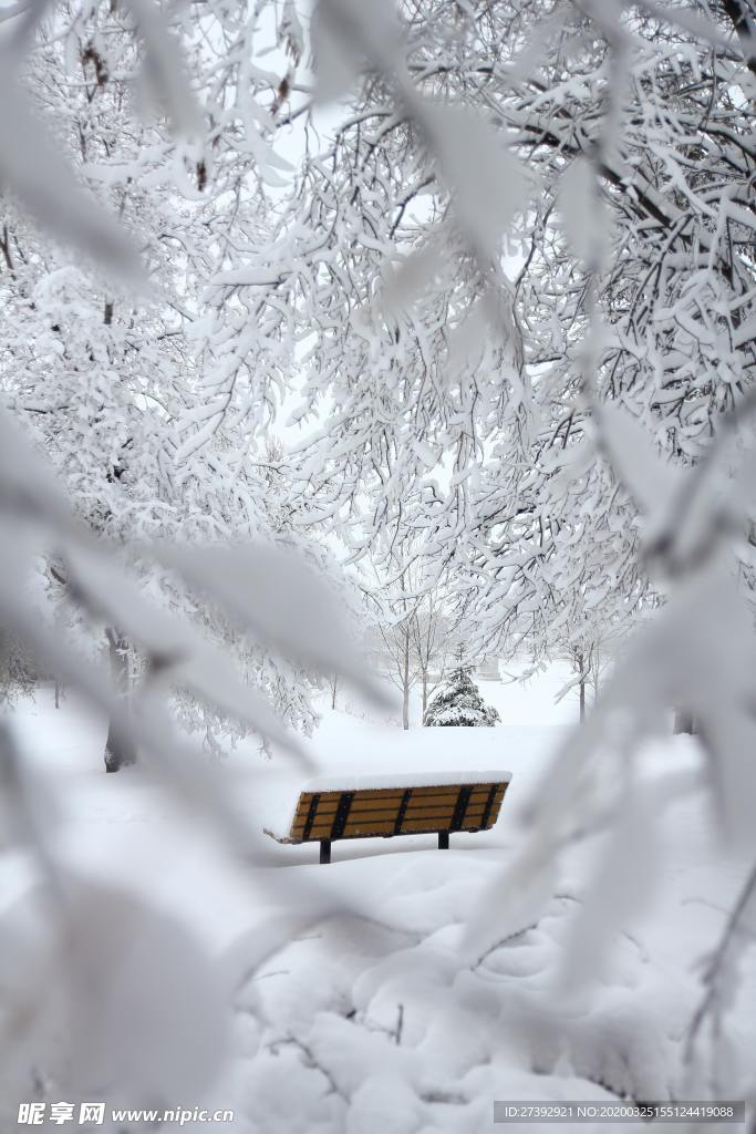 雪景图片