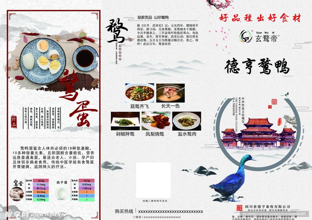 德亨鹜鸭三折页