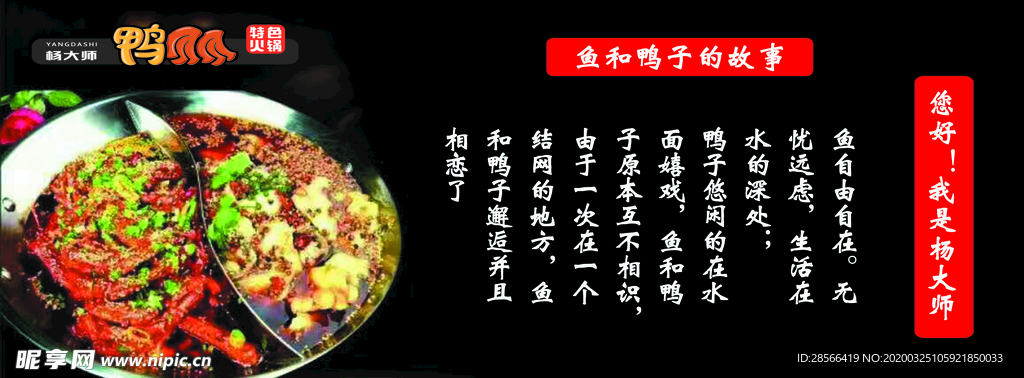 鱼和鸭子的故事