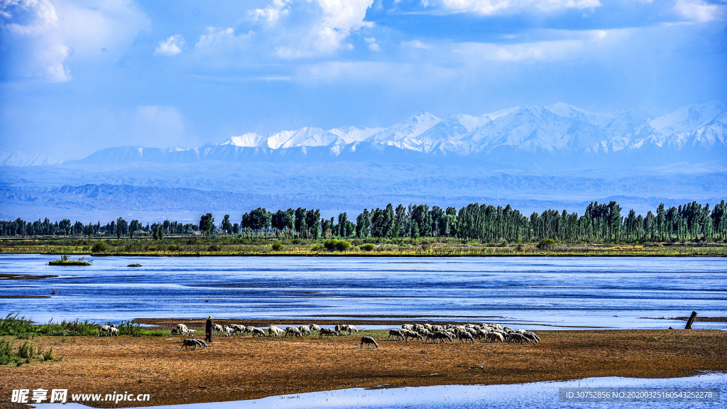 湿地风景