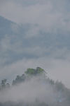 云雾围绕村子的自然风光
