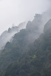 雾缭绕山脉间自然风光
