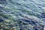 海水