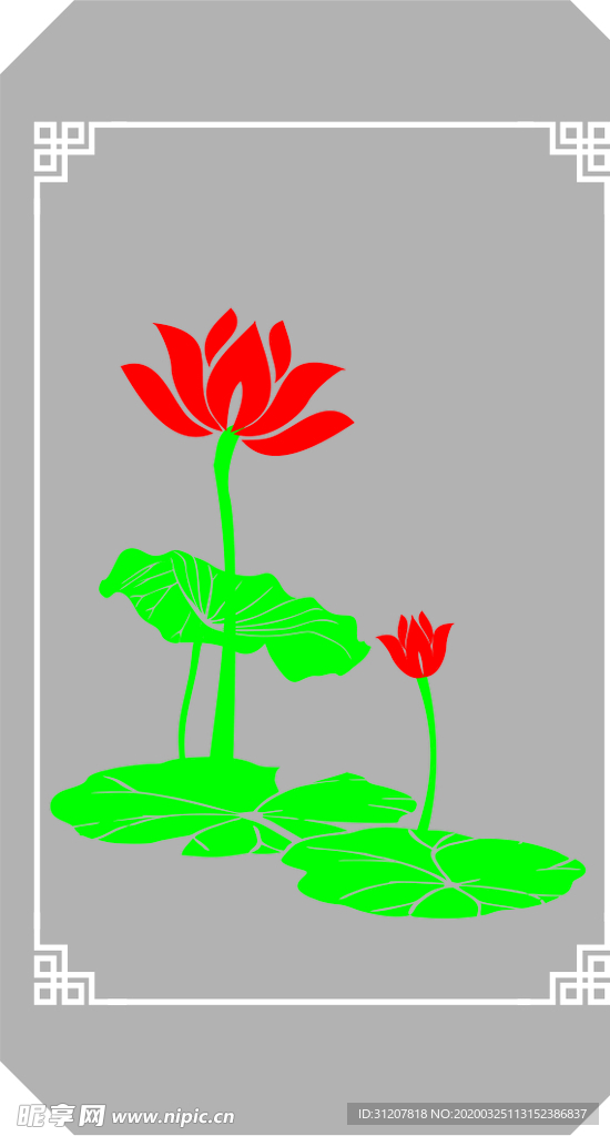 荷花