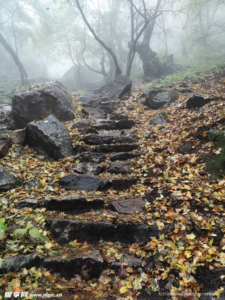 山间石路