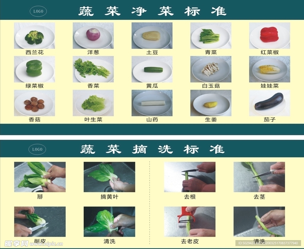 净菜标准  摘洗标准