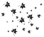 硅藻泥刻花  线条 花纹