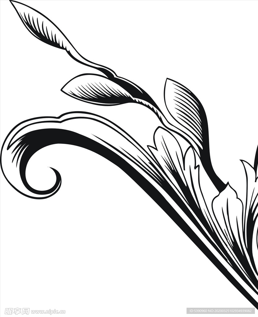 硅藻泥刻花  线条 花纹