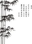 硅藻泥刻花  线条 花纹