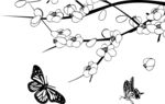 硅藻泥刻花  线条 花纹