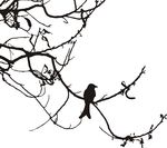 硅藻泥刻花  线条 花纹