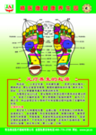 精医康健康养生园