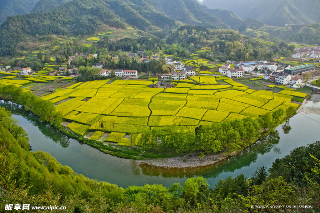 油菜花  河流   风景