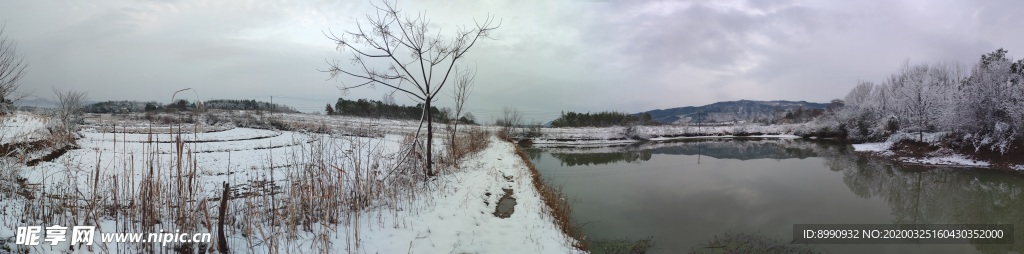 雪景