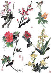 水墨梅花兰花