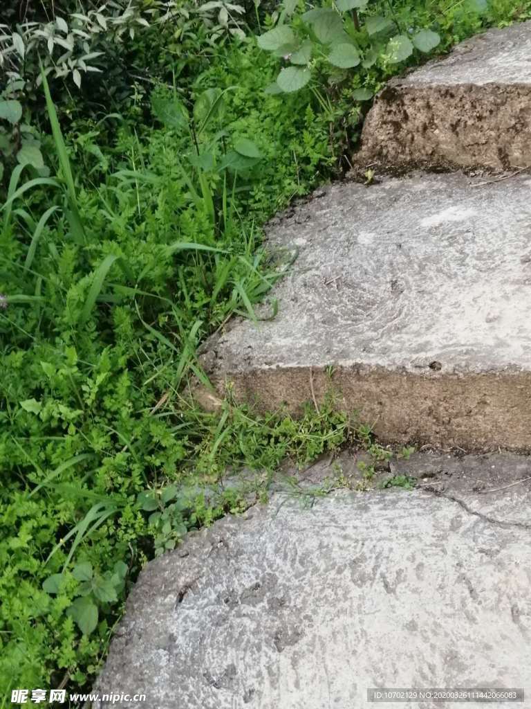 绿草台阶