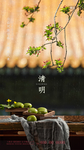 清明节