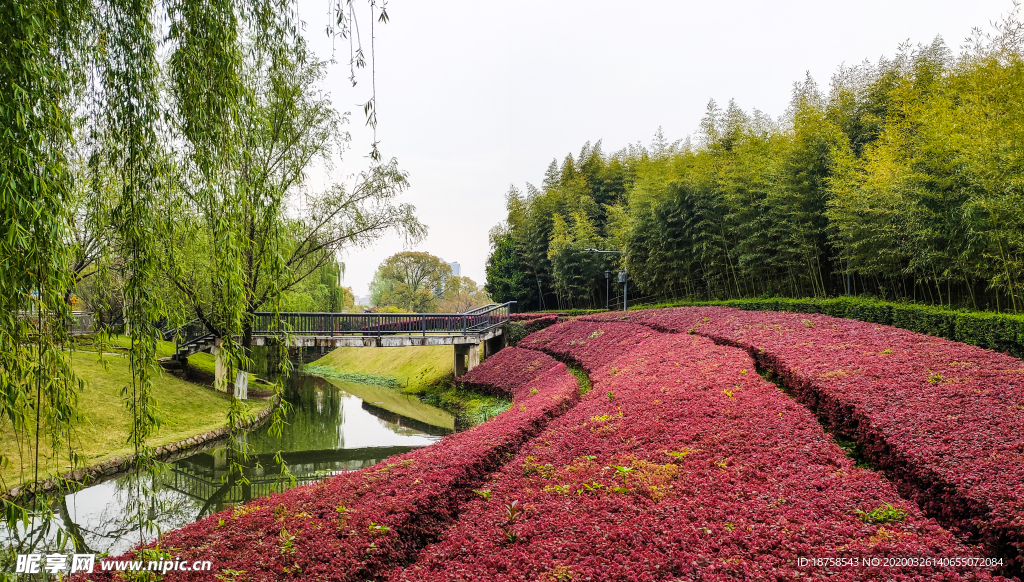 春晖公园风景