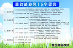 高效能业务16字箴言分层可修改