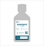 瓶标标签设计模板矢量图
