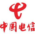 中国电信 建筑 LOGO 工程