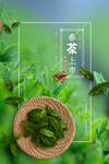 春茶上新