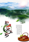 新茶上市