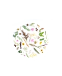 圆框花草集