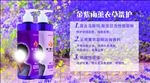 薰衣草洗护