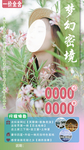 梦幻密境