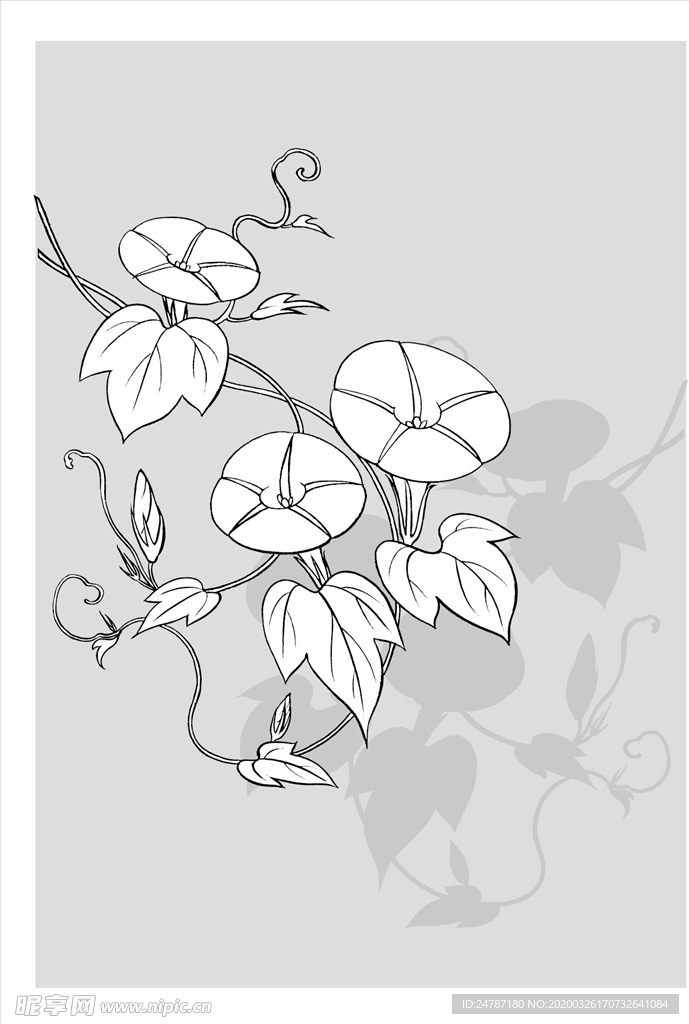 线描花朵