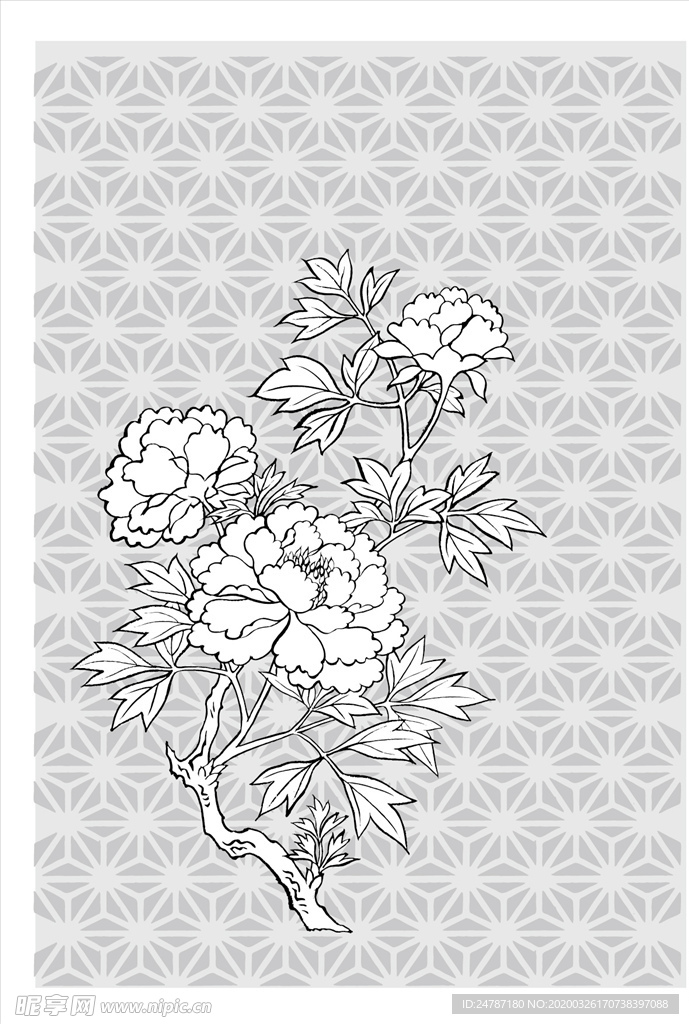 线描花朵