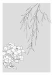 线描花朵
