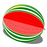 西瓜插图
